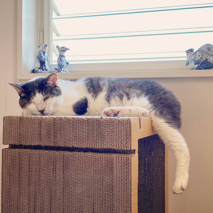 C159bc6d 3559 428f ba92 34ce3b077ed7 1597909584476