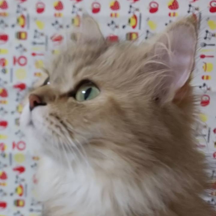 C159beaa 768d 4359 8c34 aebc43348e4a 1625277729671