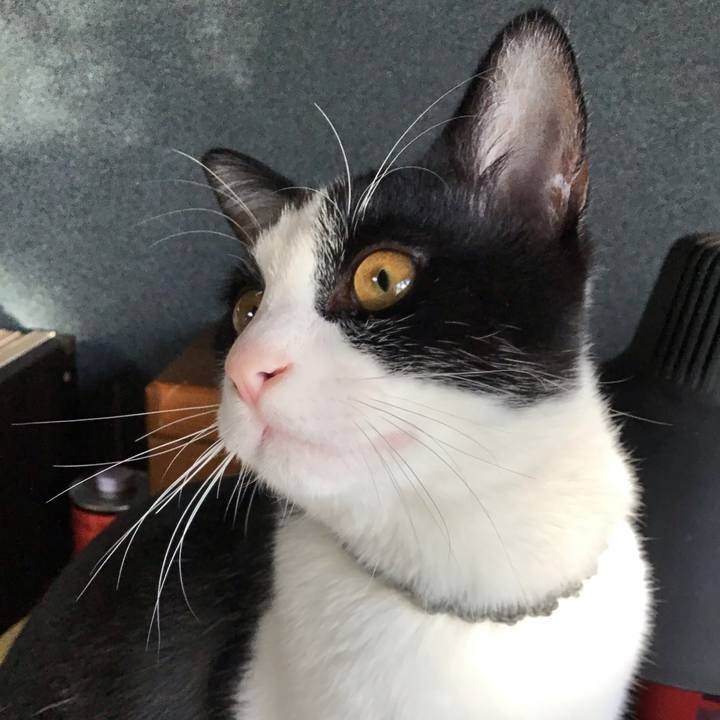 C159d555 2dca 4aa8 89f7 3ecdf0db5d05 1639609947436