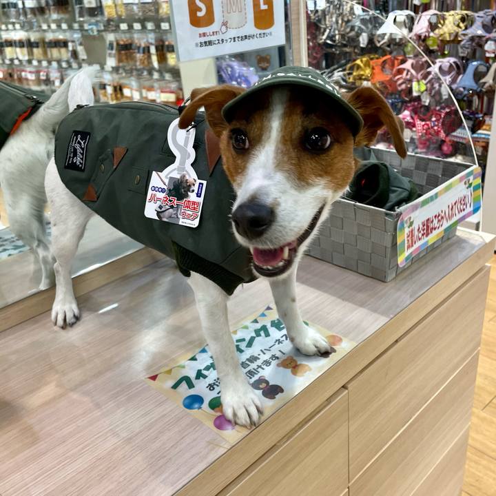 C159f03a 3e28 4371 aa14 d3f3a2b29229 1639310013048