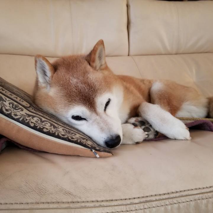 C159f775 e9f0 437c a5b1 002d9d3eb6fe 1700694228725