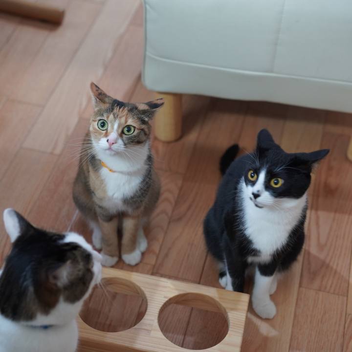 C15a255f 1241 4f1d 8acf 30bf679de7ed 1620859636341