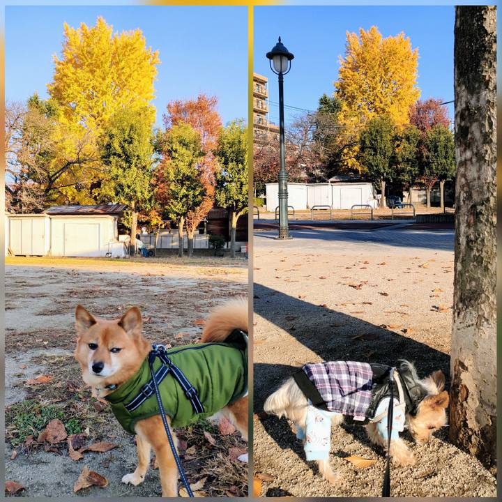 C15a57e3 cb70 4b6e 9cca 07e2650b0f56 1637889928364