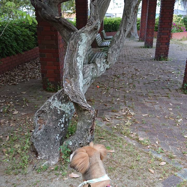 C15a8c58 4c8f 4d2e 9909 9d28f7beaa9c 1555843939044