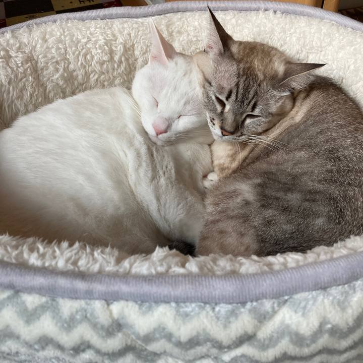 C15a957a 9cec 4323 a390 13c1f137f14e 1636871178660