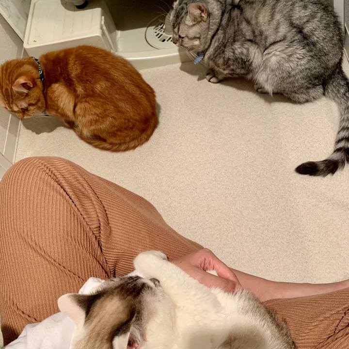 C15ae890 b442 4217 ae46 a51cd6615957 1574465267044