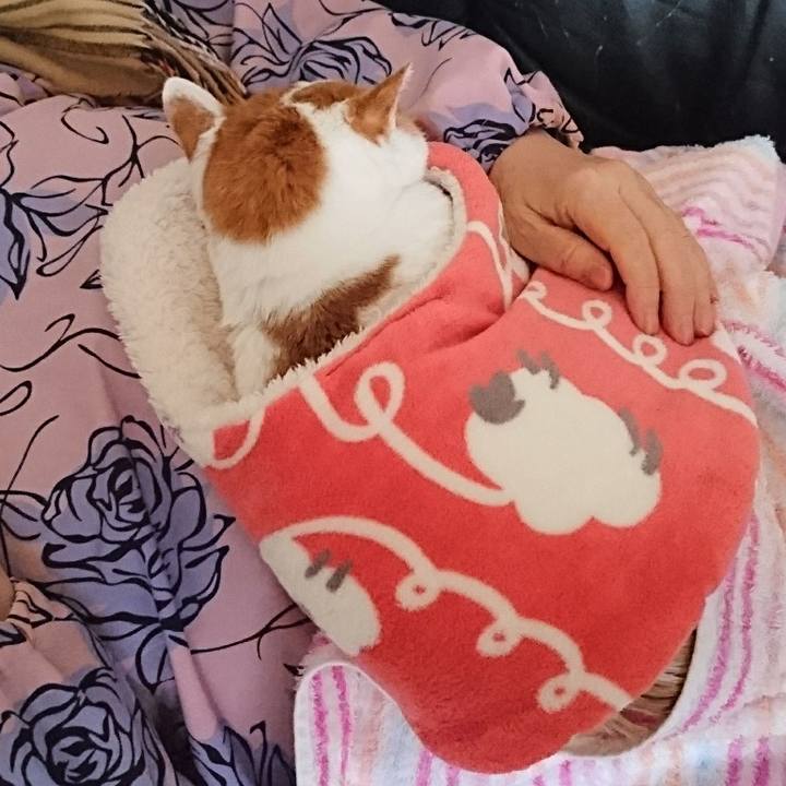 C15aee42 1814 4627 8c03 ad9446196587 1577853021941