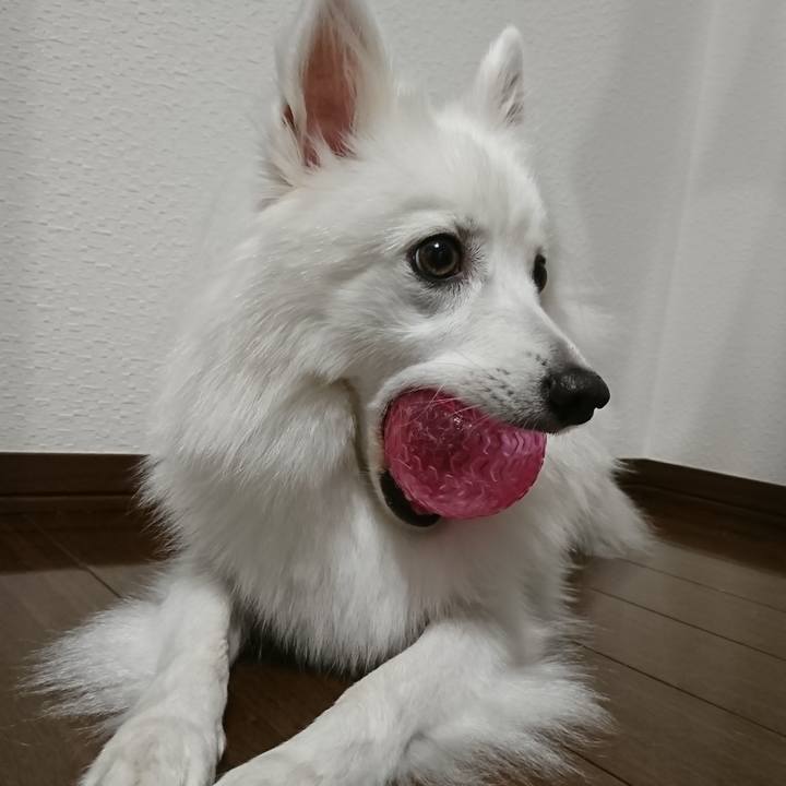 C15b065e 284d 4697 9368 a4b1f4bd9d75 1534768584585