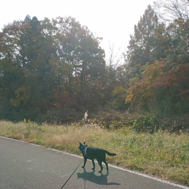 C15b9e55 ef6b 464f 891b a70cd2020e19 1637459821266