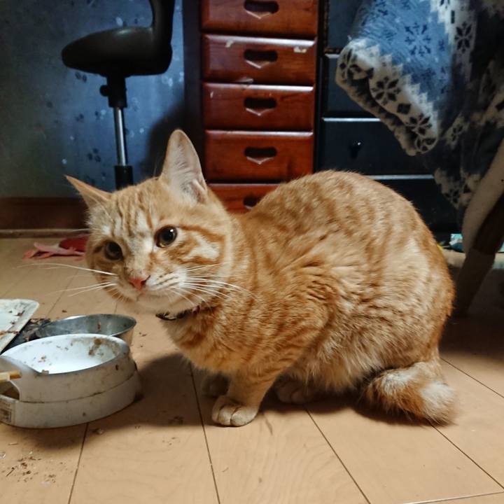 C15c0fdf eb52 4e41 9377 54c0ed9b7e0c 1649537923568