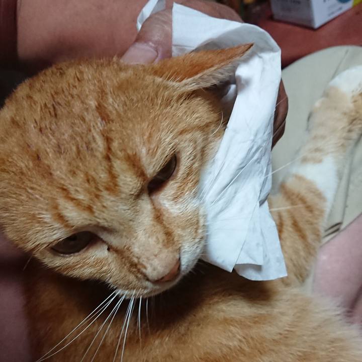 C15c41bc 9faa 498b aa8a 32761abcb138 1595589217576