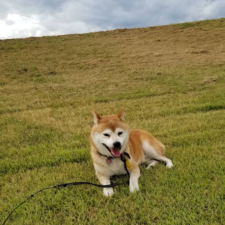 C15c67bd a16d 41b3 a5d1 4320379dd91a 1599465875386