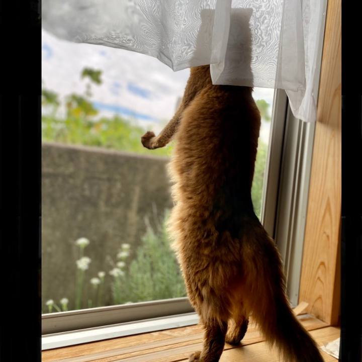 C15c6b5e 37ee 4dcd b45a 8a84fccbbb58 1663982422539