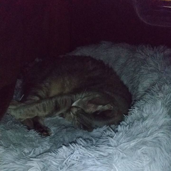 C15c7a75 c912 442a 9303 3b0ab823ba82 1616067557179