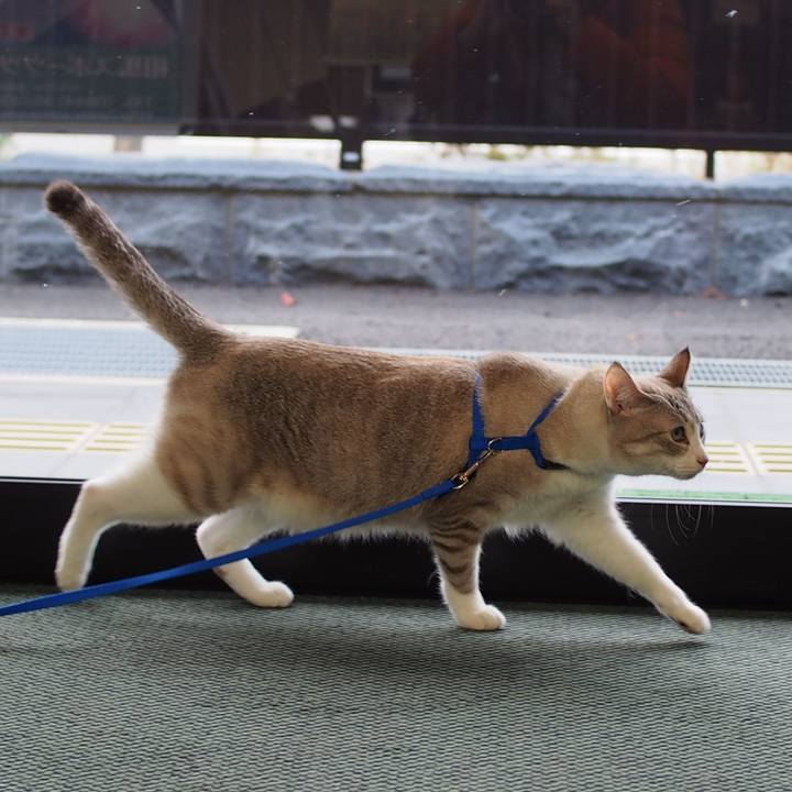 C15caa5a 3ae6 432f 9c94 8b18c0afae45 1544657409468