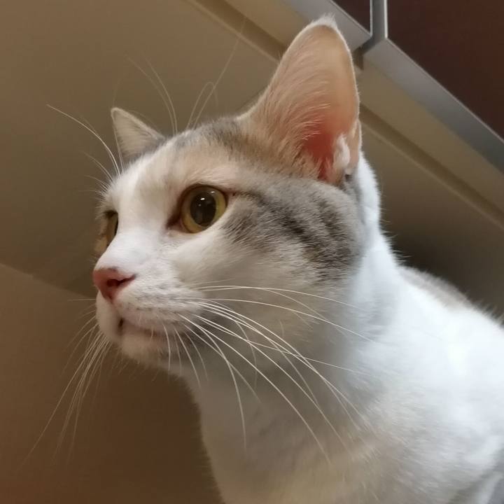 C15cb3df bb65 4e41 86c4 efe2fcd3e62a 1544015432835