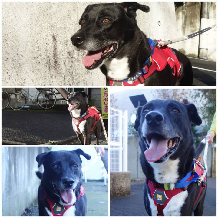 C15ce000 ffb8 40f4 b5aa e0dcaf804ec8 1669251558698