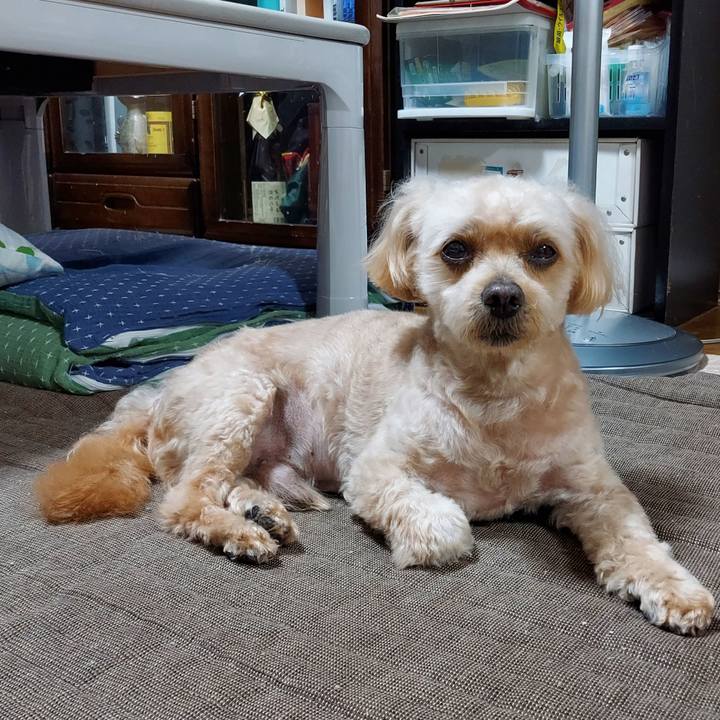 C15d6938 c78e 41c9 9005 ad68280f6627 1688208458537