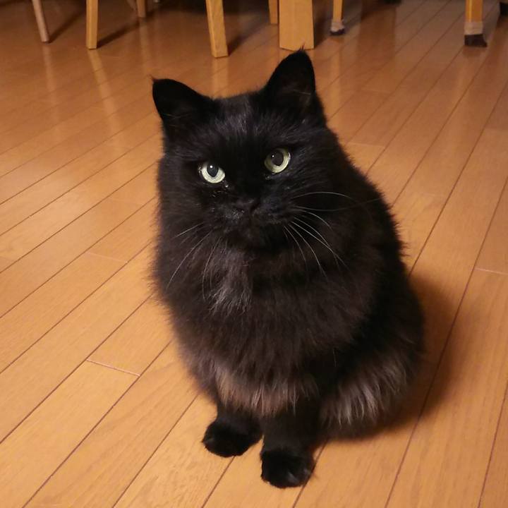 C15d7781 3e9d 4d70 b0f7 0243a53dbf7c 1561631437583