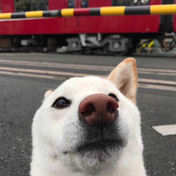 C15d8f79 cae7 4979 96b0 05277270804f 1512690717813