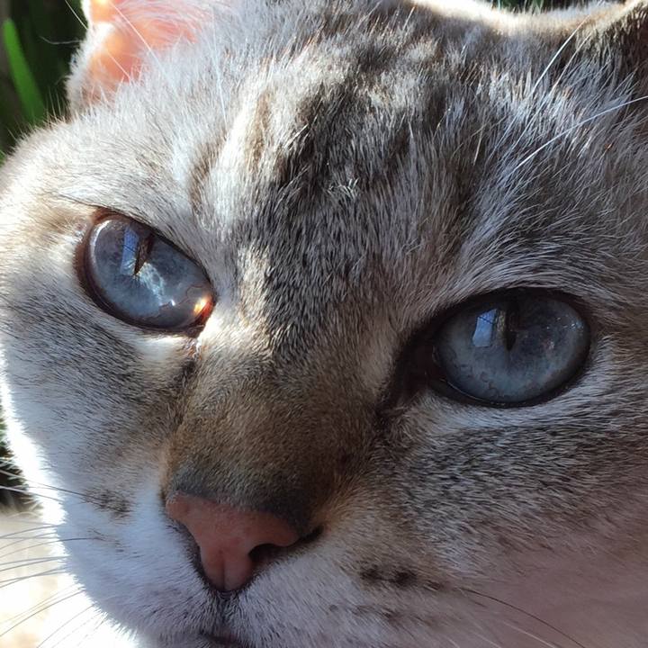 C15d97a1 60c3 4f81 9a55 ed1cbb68a01c 1543123402384