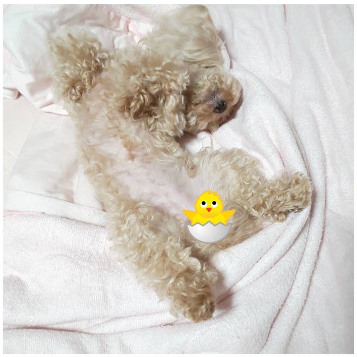 C15ddd85 cdf2 4c98 a5e2 53c9287437bc 1565355321548