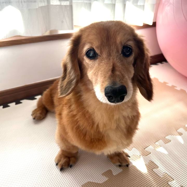 C15e11e3 1bb8 48fb 9a41 4c086969c536 1640922776869