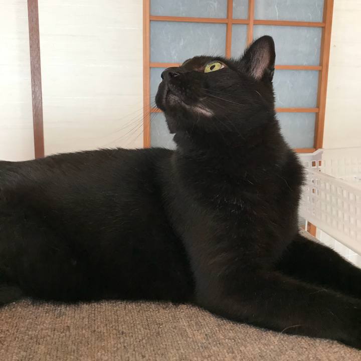 C15e47b1 af27 461a a568 c3cf22d97b87 1533081233035