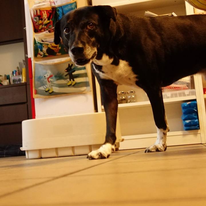 C15e62dd df7a 4f80 afbb f1cb6e2cc5ef 1749946609430