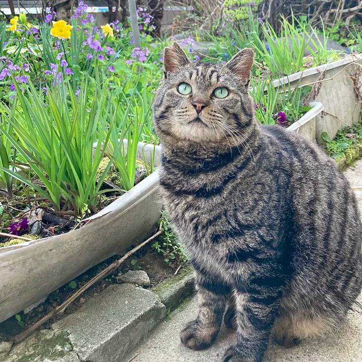 C15e80d7 5b84 46d8 9ca6 3ade3c4bbe87 1650184955261