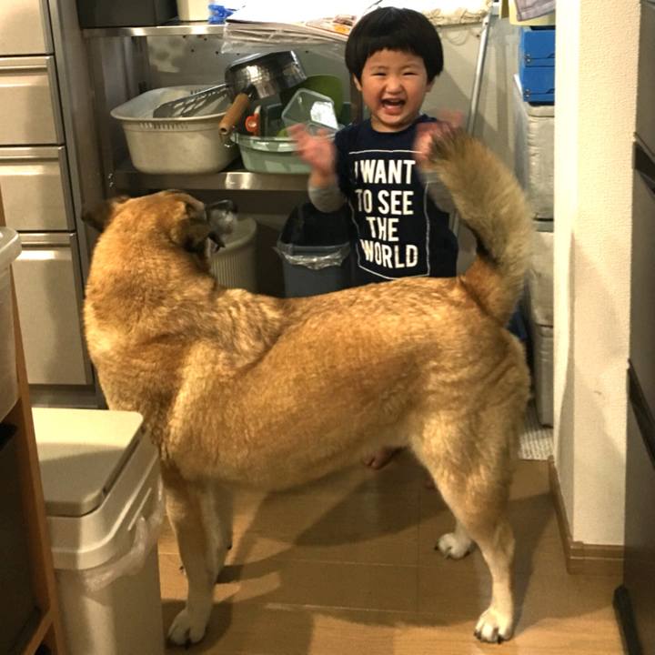 C15ea1c8 e133 43e1 b660 9aaa524ce34b 1527759051175