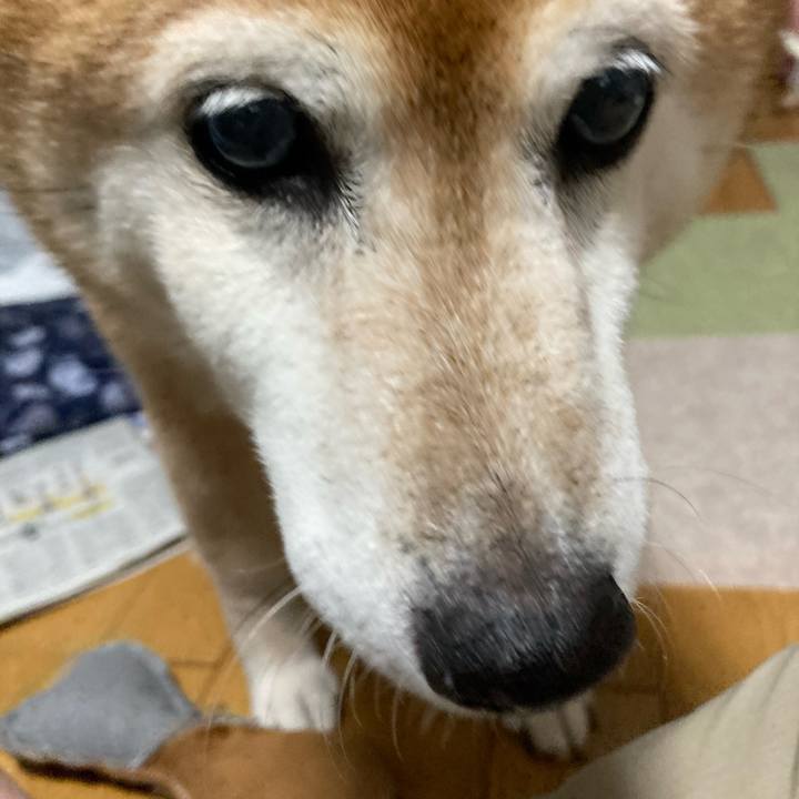 C15eab09 c7bb 4b56 8912 e5c0f8786fa9 1719046932239