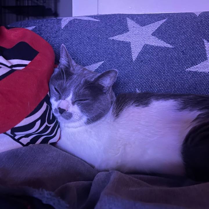 C15eafbe 46bb 4ff5 aaaf cac8282cc675 1647355805878