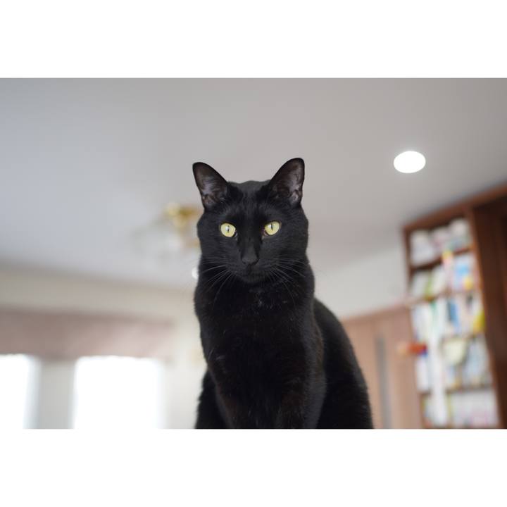 C15ef1bd 48b1 4e4f 87b7 99e91fa48ace 1615875294353