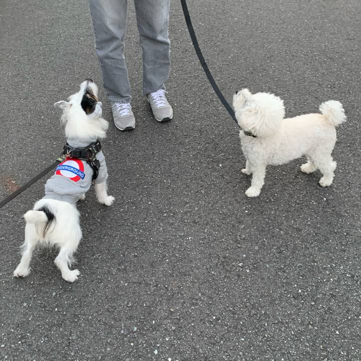 C15f2093 cfa0 4bbf aff5 8b020ee7a54d 1733298448110