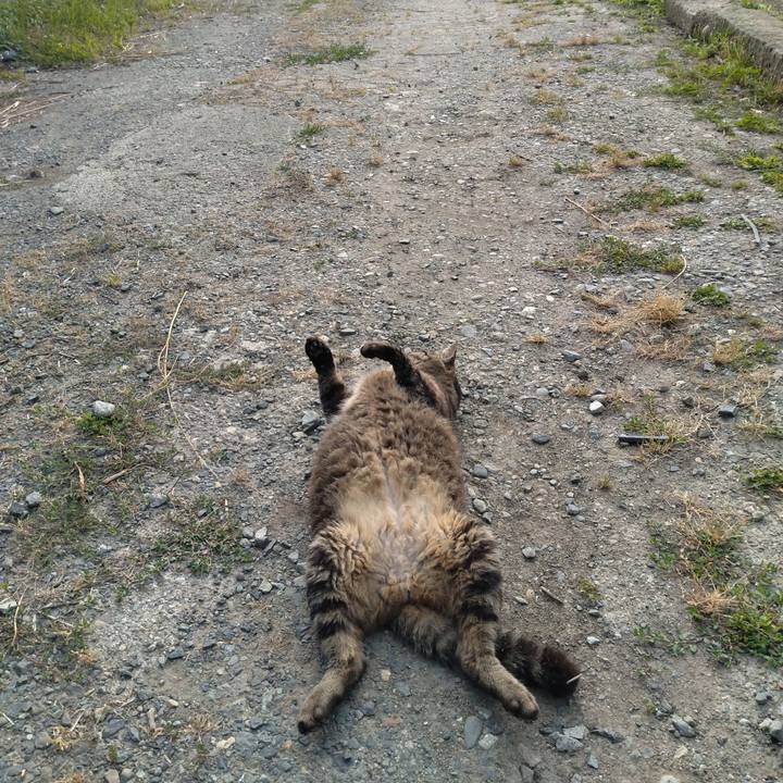 C15f678c 2e2f 4b6d 9699 1fa89f5469c6 1687818315237