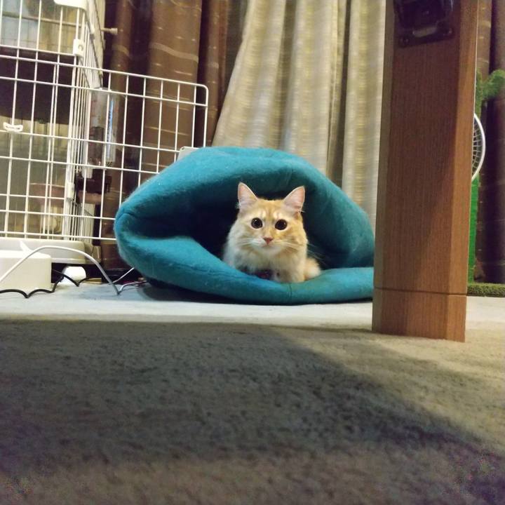 C15f72a8 9de2 485c 8da3 89cb6531c694 1632490597084