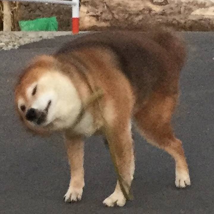 C15fbf03 1da8 4212 b6c5 552e33b6898b 1609488852191