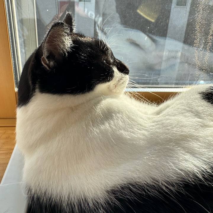 C15fca59 98e1 4c47 97fb 101ddcb9609c 1762471587520