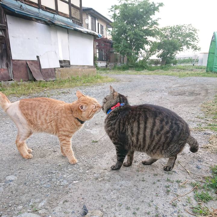 C15fcb4e 3f9d 4203 95a9 1af794e7aab7 1654203161517