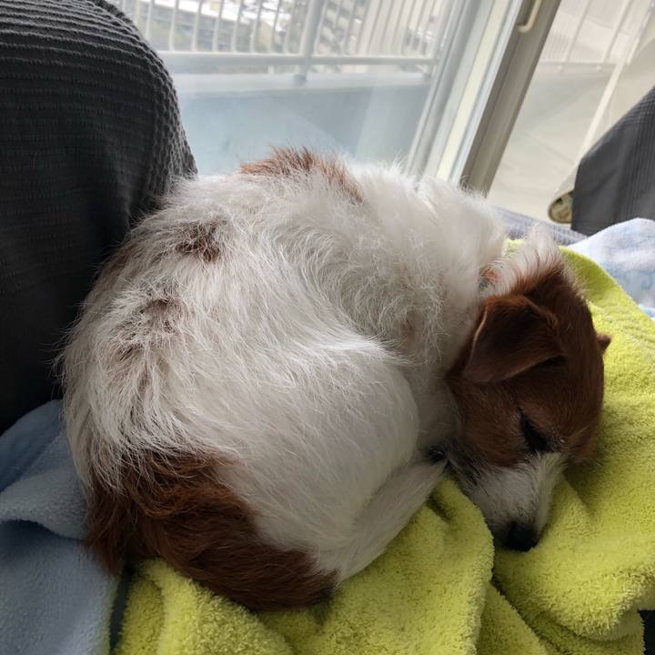 C15ff400 dc1d 4d2a acfa 626453c20bcc 1585458660271