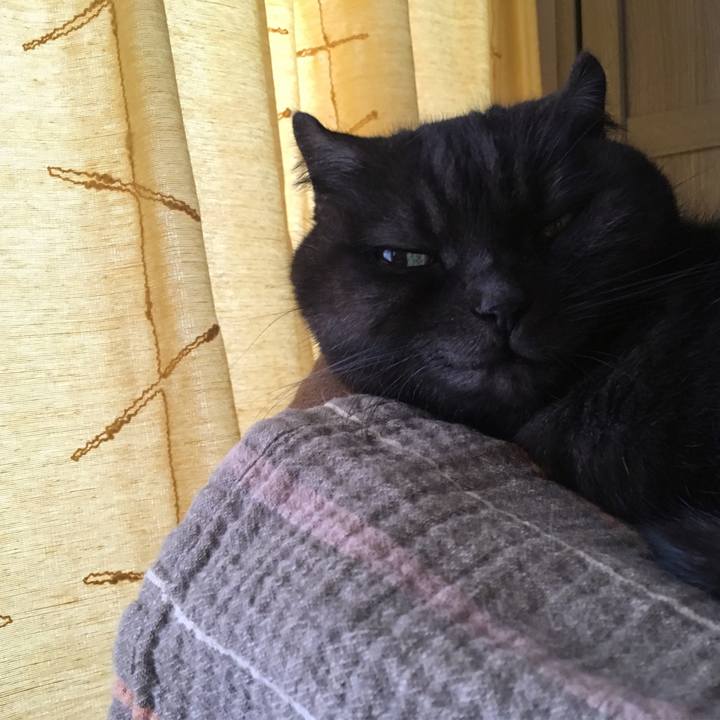 C160089d 229d 442e 981c f06212318869 1542592477080