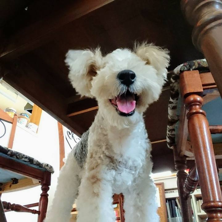 C16032ea ec85 4455 9f72 cf27e804551a 1561511384766