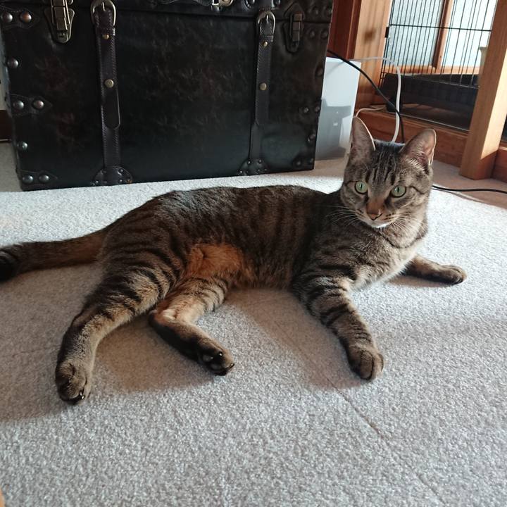 C1603c48 0782 4378 8ad8 7d308809ffd6 1522451385538