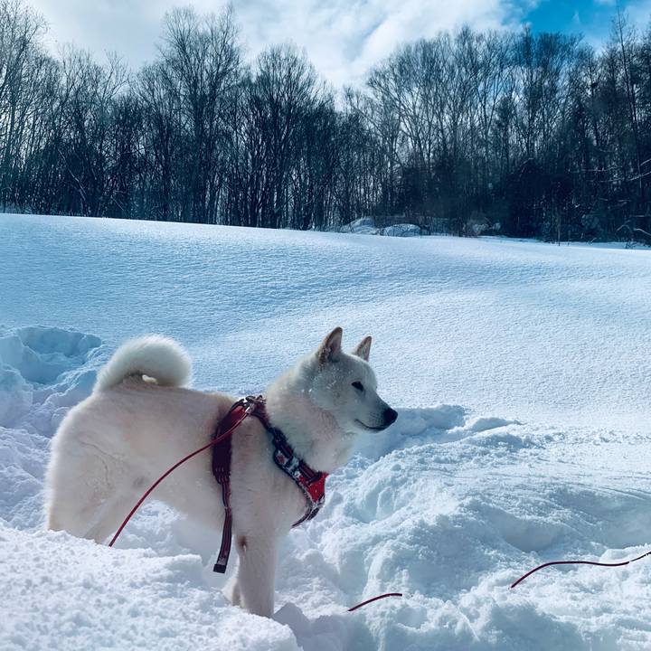 C1604c07 ff88 4723 a120 5207802c7429 1614389384023