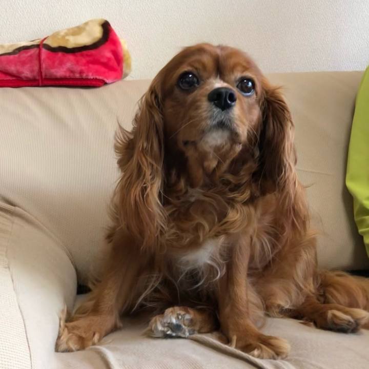 C160539a 4def 4a20 b18b 1e8d0808e1b1 1622724154710