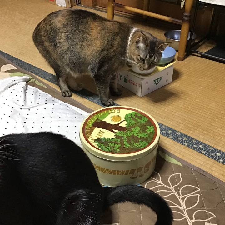 C16088ed 19be 4ea4 8d8b 2178056e4349 1652869798700