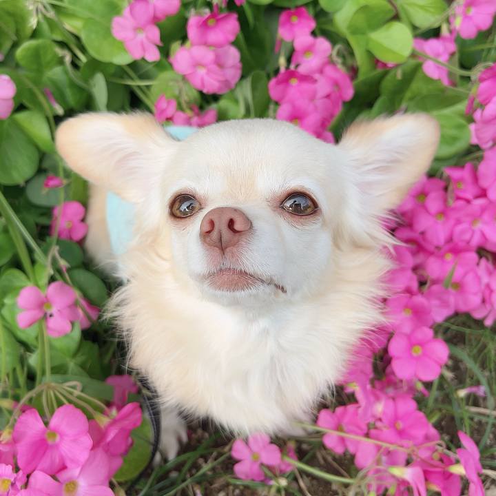 C160936c c1f8 4894 9846 ec9d6a3d2746 1731321574196