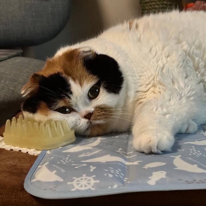 C1609887 6814 4419 a5e6 764020c4d96a 1727965857221