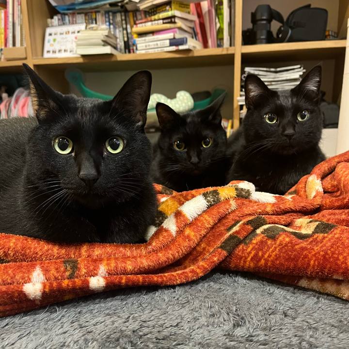 C160a89b 08d3 4f51 a107 7c4d0e130f2e 1644071806483